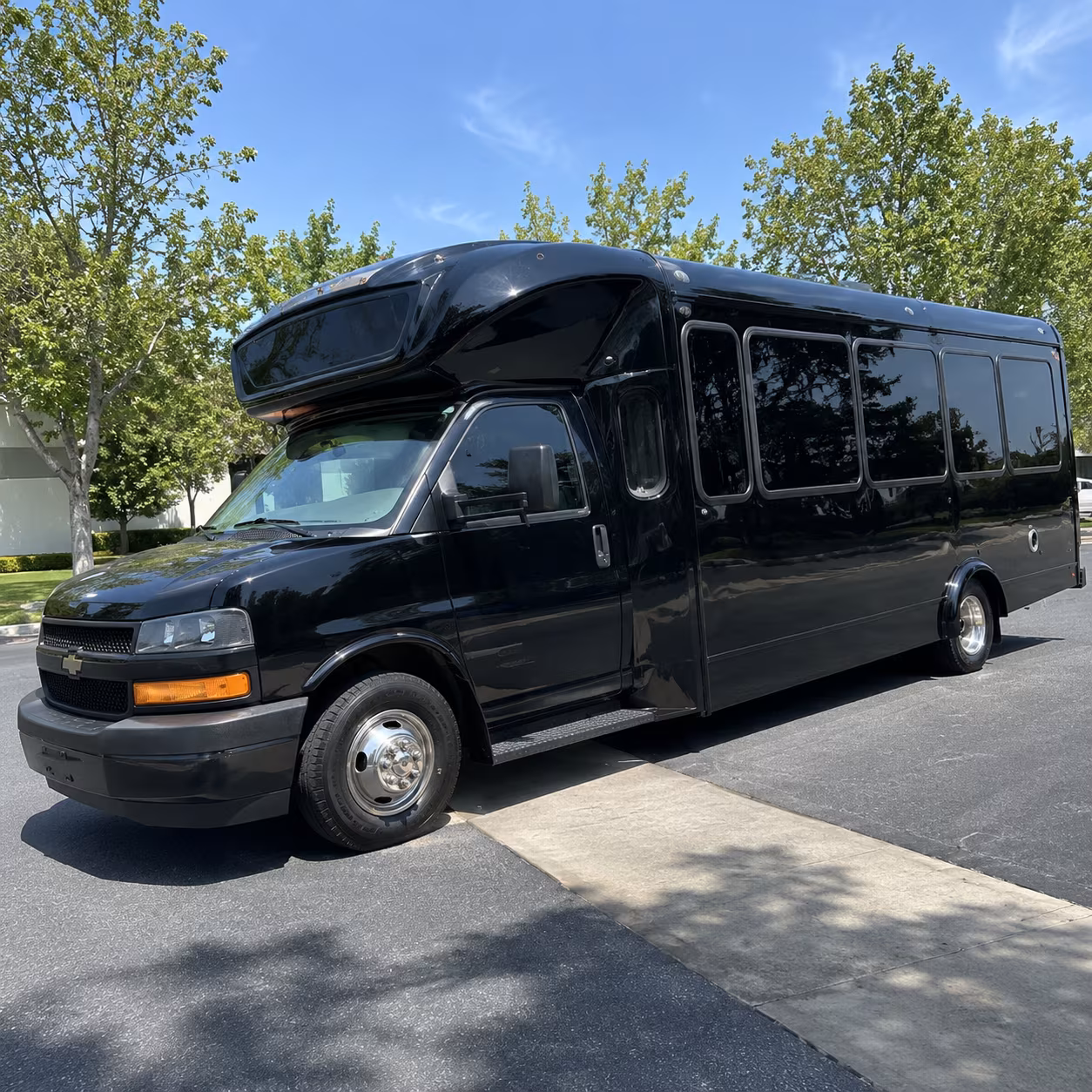 youngstown 15 passenger party bus